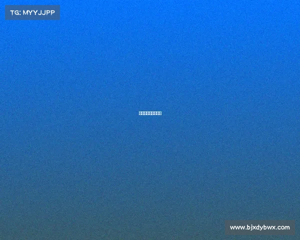 电子竞技三级裁判证